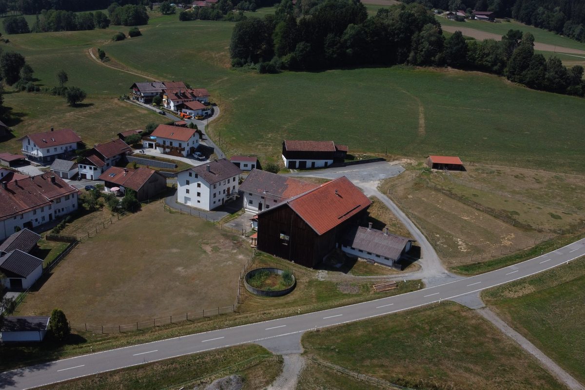 Blick von unten auf die Alpaka Farm Kilger in Rechertsried