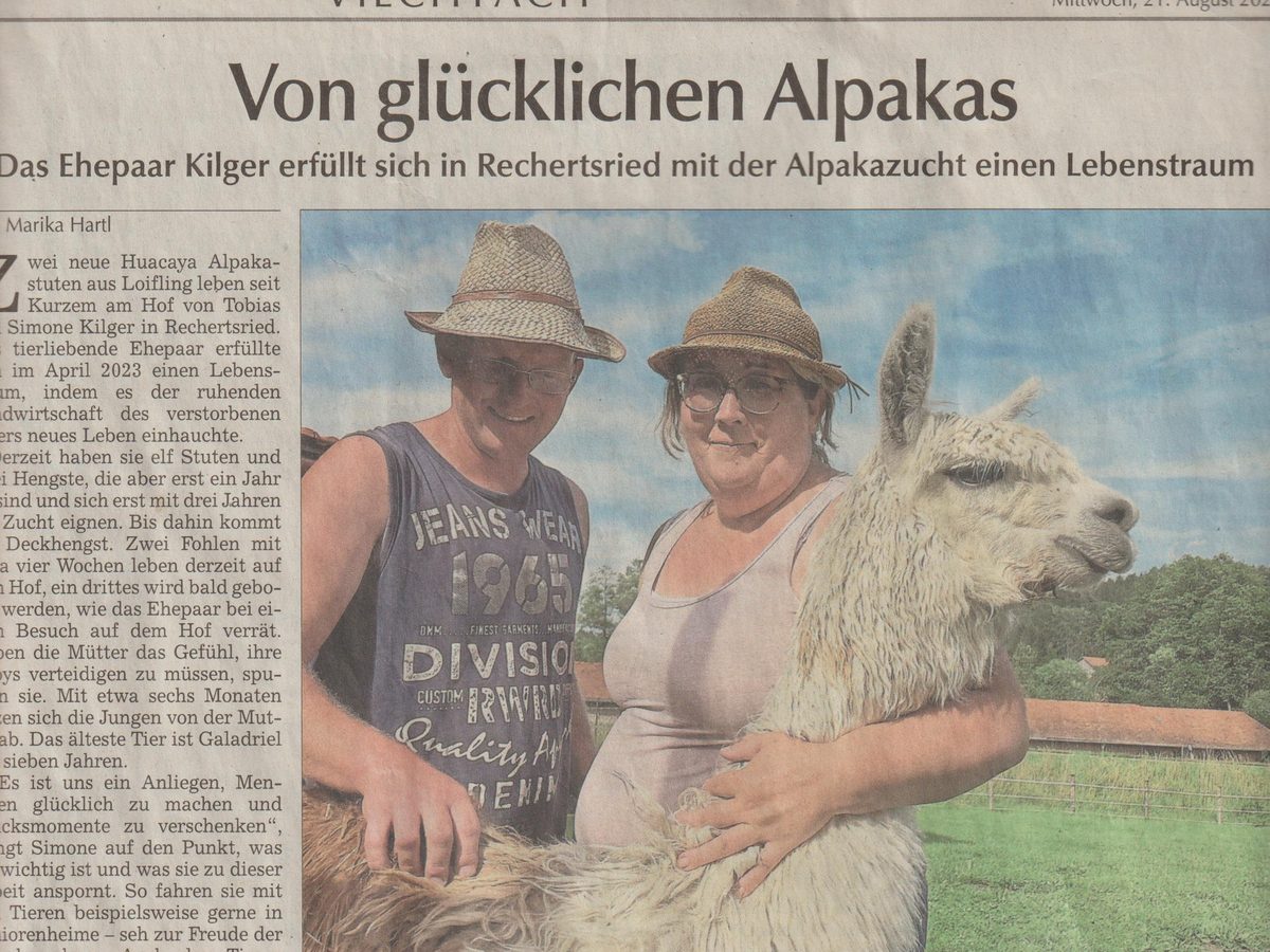 Zeitungsartikel &bdquo;Von gl&uuml;cklichen Alpakas&ldquo; &uuml;ber die Alpaka Farm Kilger